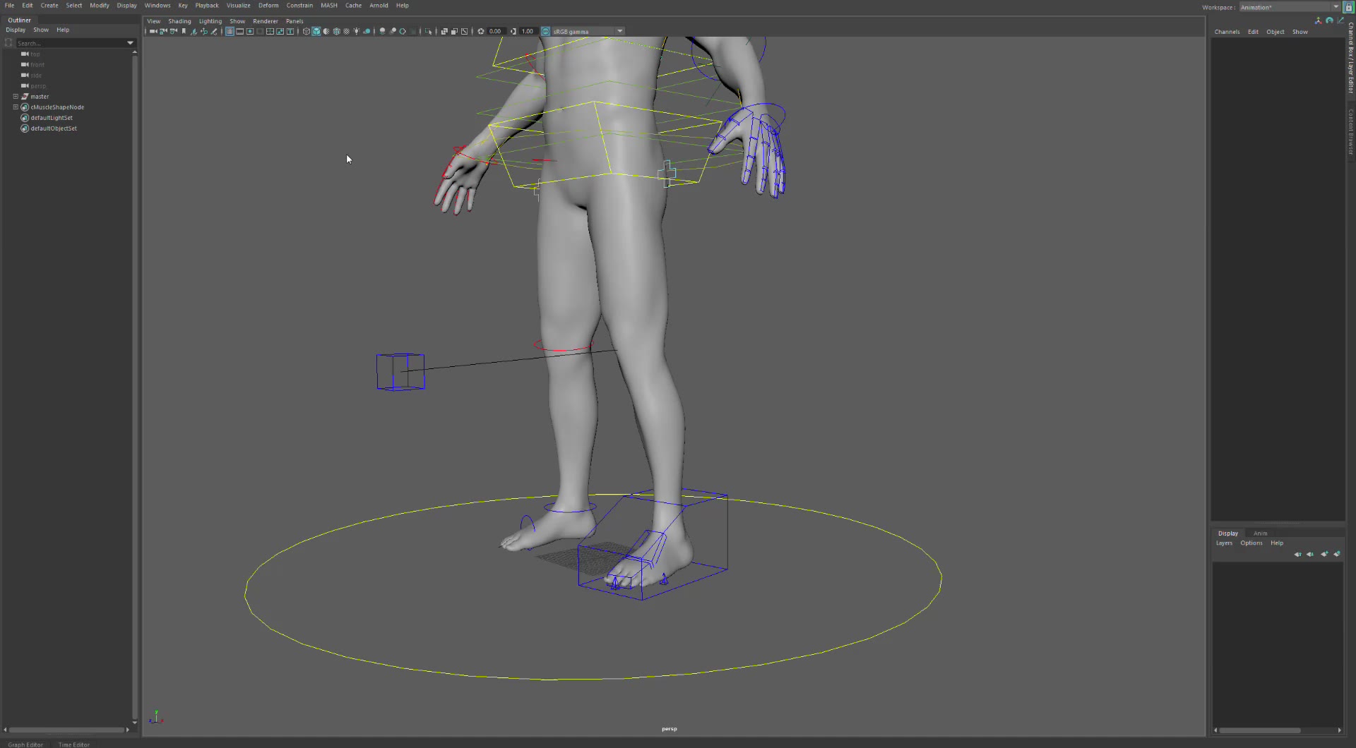 Human Function